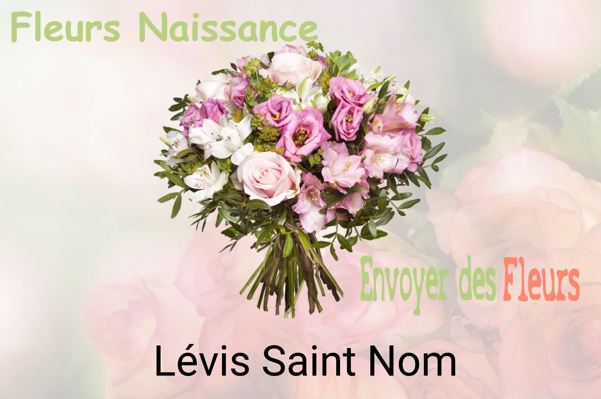 Bouquet de fleurs de naissance livré à Lévis-Saint-Nom